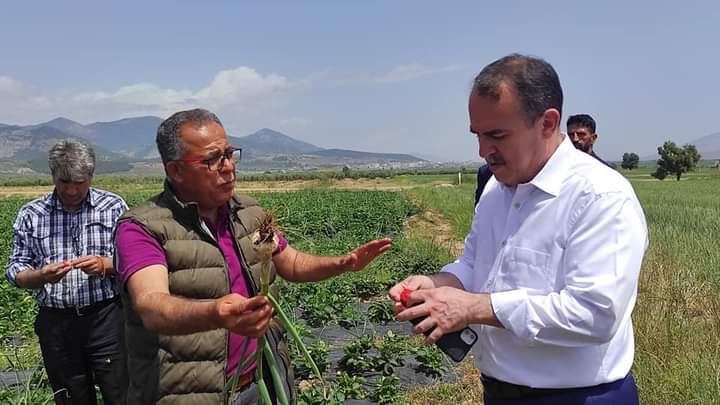 Ergin, Hassa